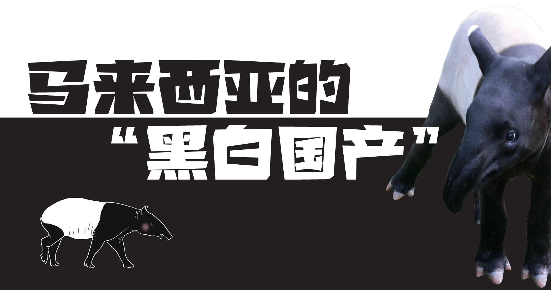 马来西亚的“黑白国产”